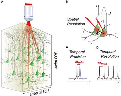 Methods for Three-Dimensional All-Optical Manipulation of Neural Circuits